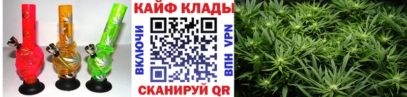 Где купить наркоту Дмитров Бошки Шишки  COCAIN  Alpha-PVP  Мефедрон  ГАШ 