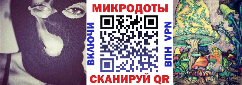 купить закладку  Дмитров  Галлюциногенные грибы MAGIC MUSHROOMS 